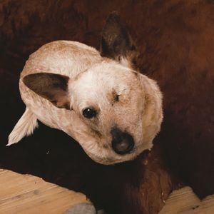 Meet your Posher, Katherine